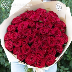 Букет из 51 красной розы 60 см (Россия) в голубой пленке