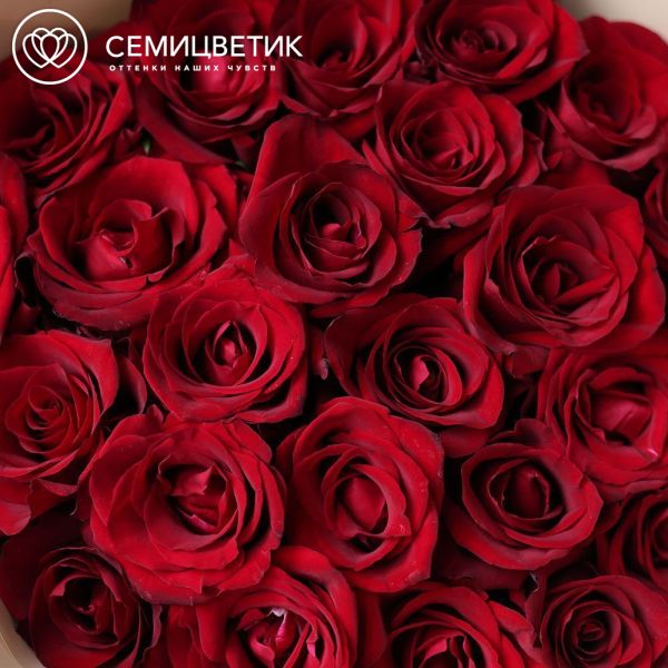 Букет из 25 красных роз Ever Red 70 см (Кения) в кремовой упаковке