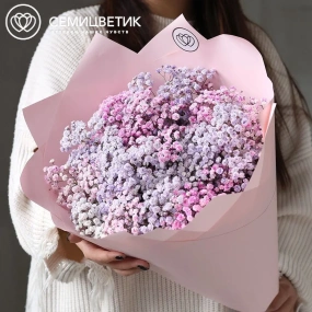 Букет из 11 сиреневых и розовых гипсофил