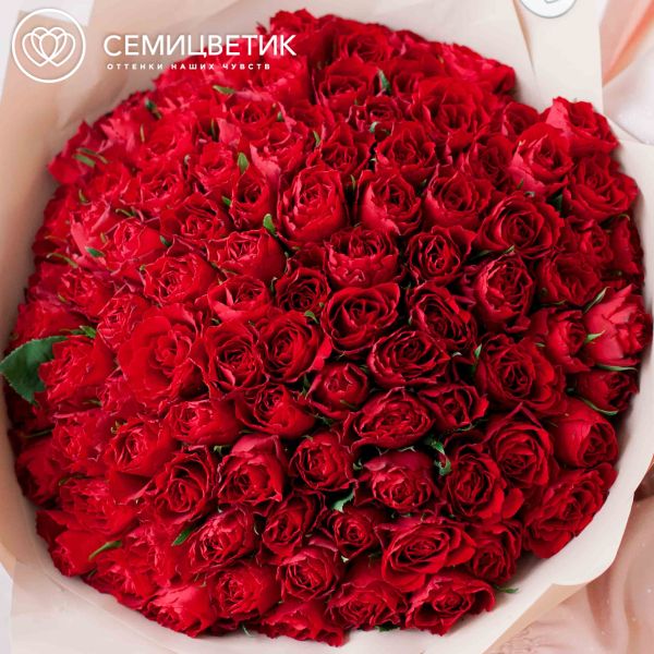 Букет из 101 красной розы (Кения) 40 см Standart в кремовой пленке
