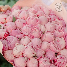 Букет из 25 розовых пионов Premium в зеленой пленке