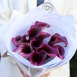 Букет цветов для сестры  из 9 темно-фиолетовых калл