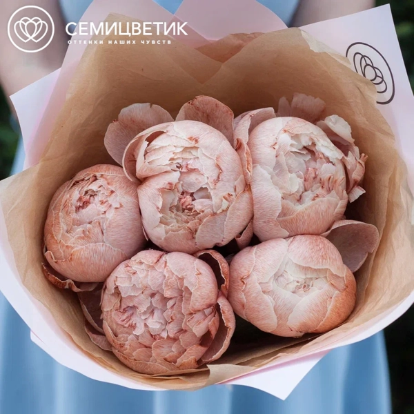 Букет из 5 пионов брауни Premium