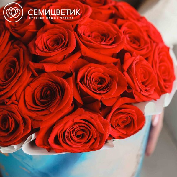 Букет в голубой шляпной коробке Amour из 33 красных роз Freedom (Эквадор) 