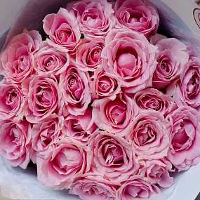 Букет из 25 нежно-розовых роз 60 см (Россия) в голубой пленке