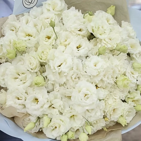 Букет из 51 белого махрового лизиантуса в голубой пленке