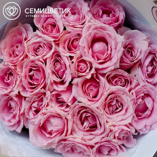Букет из 25 нежно-розовых роз 60 см (Россия) в голубой пленке