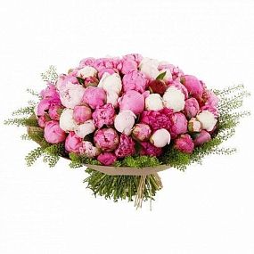 Букет из 75 пионов микс Premium с зеленью