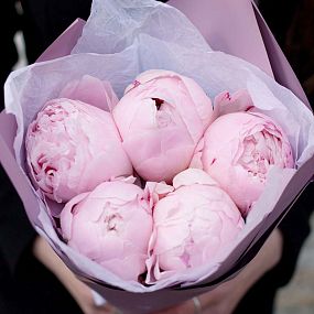 Букет из 5 розовых пионов Premium