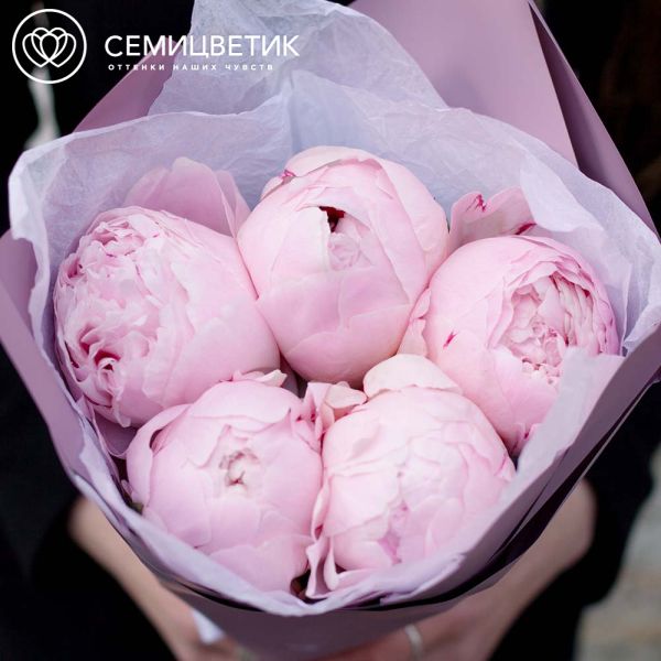 Букет из 5 розовых пионов Premium