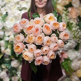 Букет из 25 персиковых пионовидных роз Juliet 50 см (Эквадор)