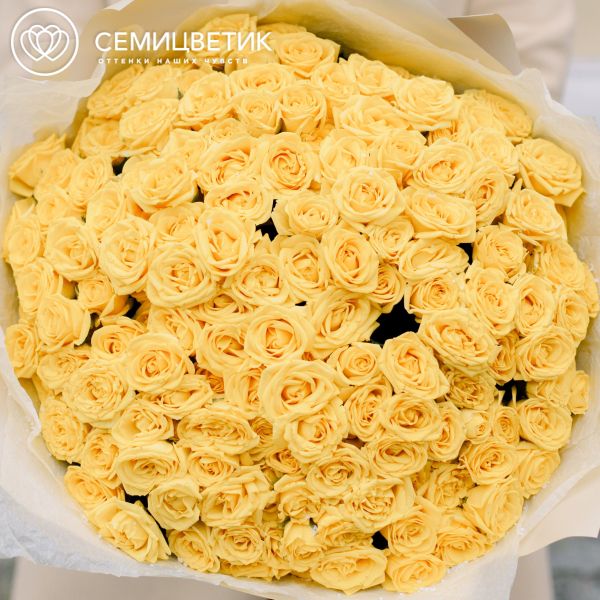 Букет из 51 желтой кустовой розы 40 см (Эквадор)