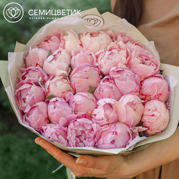 Букет из 25 розовых пионов Premium в зеленой пленке