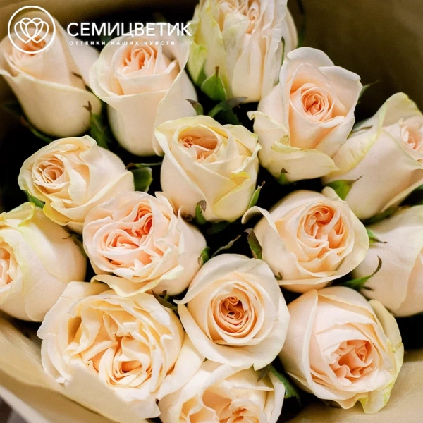Букет из 15 кремовых пионовидных роз Wedding Rose 40 см