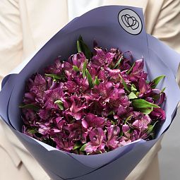 Букет цветов учителю  из 15 фиолетовых альстромерий