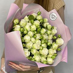 Букет из 11 белых кустовых пионовидных роз 70 см (Россия)
