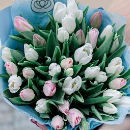 Букет из 25 белых и нежно-розовых тюльпанов