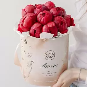 Букет в бежевой шляпной коробке Amour Mini из 21 бордового пиона Standart Plus