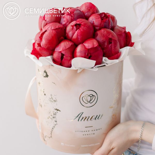 Букет в бежевой шляпной коробке Amour Mini из 21 бордового пиона Standart Plus