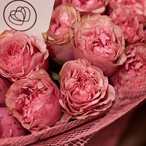 Букет из 51 розовых пионовидных роз Love Me Tender 40 см