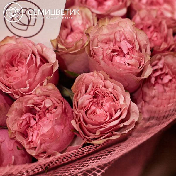 Букет из 51 розовых пионовидных роз Love Me Tender 40 см