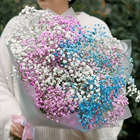 Букет из 11 гипсофил микс в прозрачной пленке