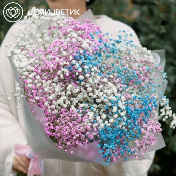 Букет из 11 гипсофил микс в прозрачной пленке