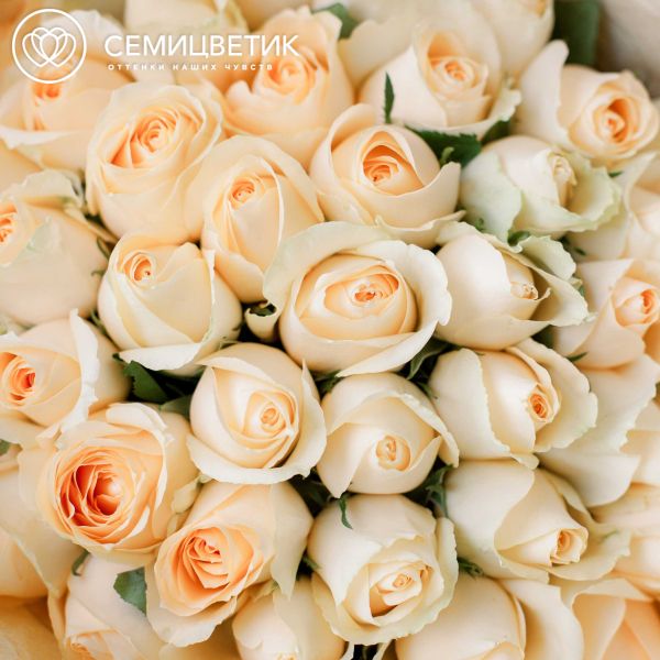 Букет из 41 персиковой розы 40 см (Кения)