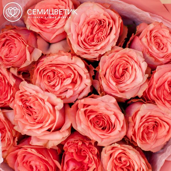 Букет из 15 кораллово-розовых пионовидных роз Wild Love 40 см (Эквадор)
