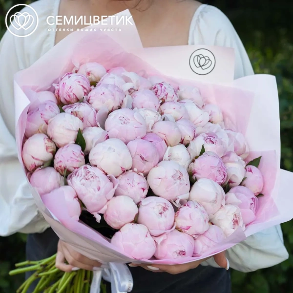 Букет из 51 розового пиона Standart Plus в розовой пленке