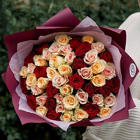 Букет из 51 кремовой, нежно-розовой и красной розы 35-40 см (Кения) в голубой пленке