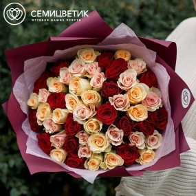 Букет из 51 кремовой, нежно-розовой и красной розы 35-40 см (Кения) в бордовой упаковке