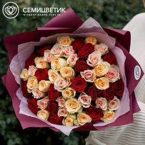 Букет из 51 кремовой, нежно-розовой и красной розы 35-40 см (Кения) в голубой пленке