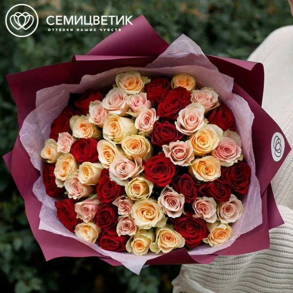 Букет из 51 кремовой, нежно-розовой и красной розы 35-40 см (Кения) в бордовой упаковке