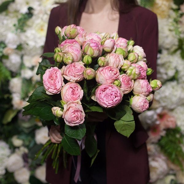 Букет из 25 нежно-розовых пионовидных роз Bridal Piano 40 см