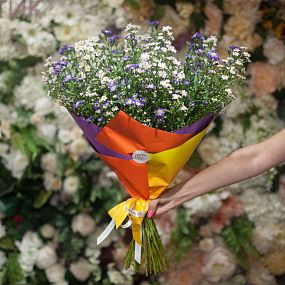 Букет из 25 кустовых астр микс