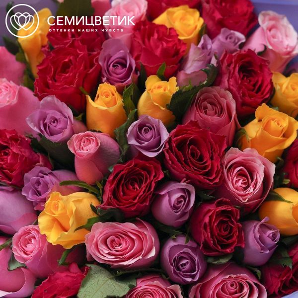 Букет из 51 розы 35 см микс (Кения) в сиреневой пленке