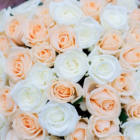 Большой букет  из 51 белой и кремовой розы 40 см (Россия) в сиреневой пленке