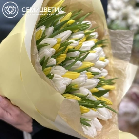 Букет из 101 белого и желтого тюльпана 40 см в кремовой пленке