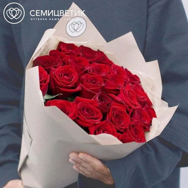 Букет из 25 красных роз 50 см (Россия) в кремовой пленке