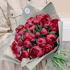 Букет из 25 бордовых пионов Standart Plus