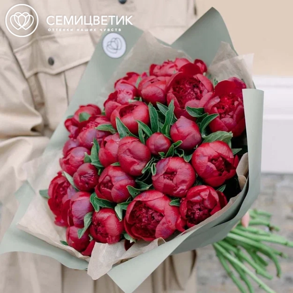 Букет из 25 бордовых пионов Standart Plus