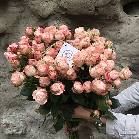 Букет из 25 нежно-розовых кустовых пионовидных роз Madam Bombastik 40 см