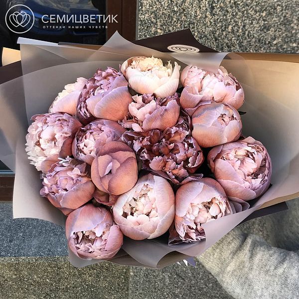 Букет из 15 пионов Брауни Premium