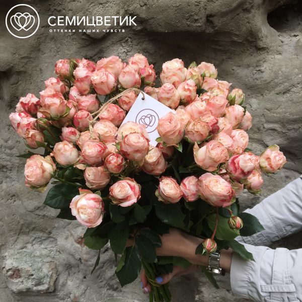 Букет из 25 нежно-розовых кустовых пионовидных роз Madam Bombastik 40 см
