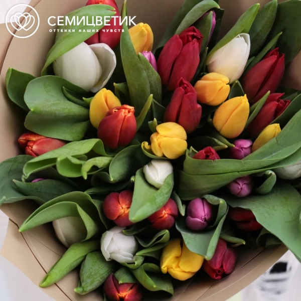 Букет из 25 тюльпанов микс 30 см