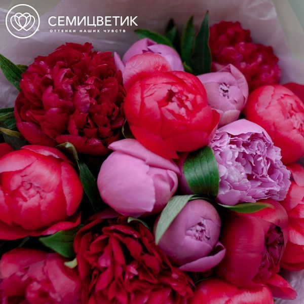 Букет из 15 пионов микс Standart в зеленой пленке