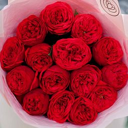 15 красных одноголовых пионовидных роз Red Piano 40 см