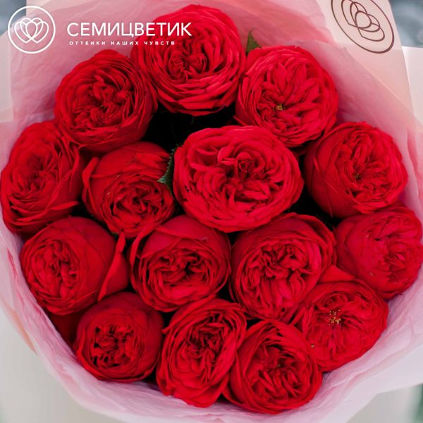 Букет из 15 красных пионовидных роз Red Piano 40 см