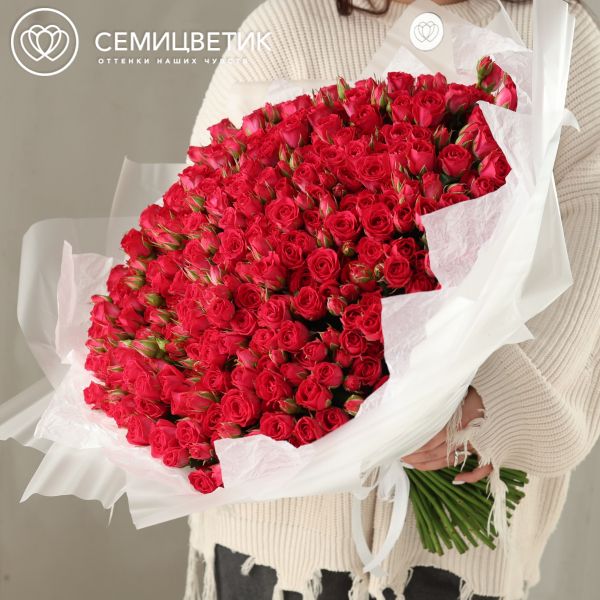 Букет из 101 малиновой кустовой розы 40-50 см (Россия)